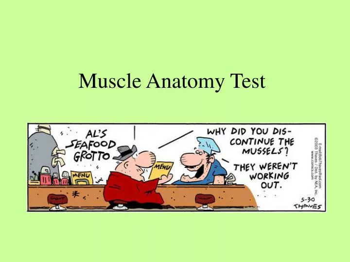 muscle anatomy test