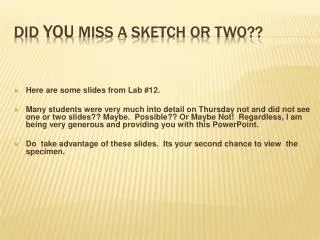 Did YOU MISS A SKETCH OR TWO??