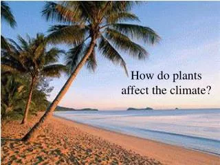 How do plants affect the climate?