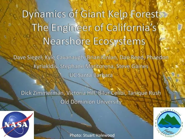 dynamics of giant kelp forests the engineer of california s nearshore ecosystems