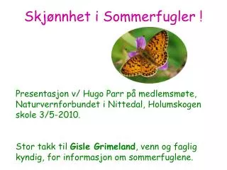skj nnhet i sommerfugler