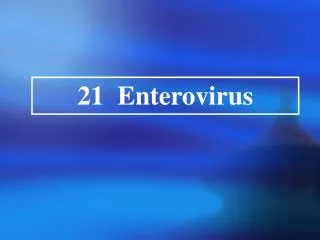 21 Enterovirus