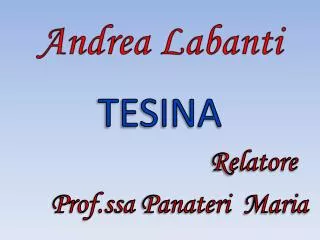andrea labanti