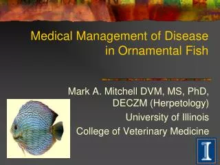 Medical Management of Disease in Ornamental Fish