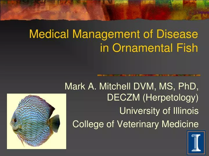 medical management of disease in ornamental fish