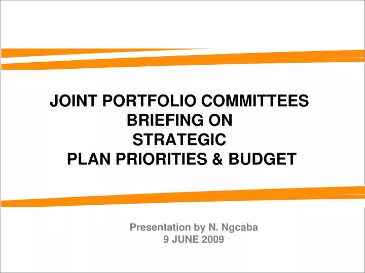 joint portfolio committees briefing on strategic plan priorities budget