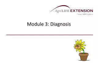 Module 3: Diagnosis