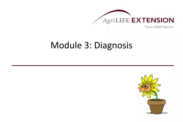 module 3 diagnosis