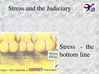 Stress and the Judiciary
