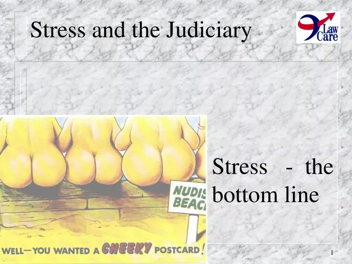 stress and the judiciary