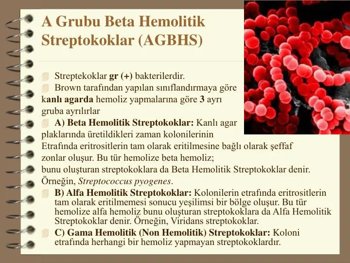 a grubu beta hemolitik streptokoklar agbhs