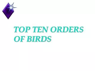 TOP TEN ORDERS OF BIRDS