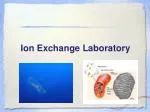 Ion Exchange Laboratory - slide 1