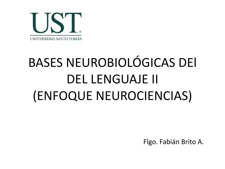 bases neurobiol gicas del del lenguaje ii enfoque neurociencias