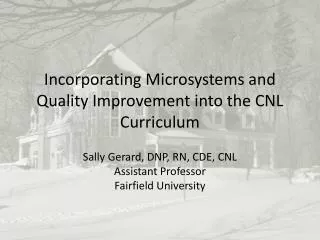 Incorporating Microsystems and Quality Improvement into the CNL Curriculum