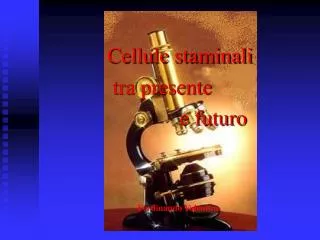 cellule staminali