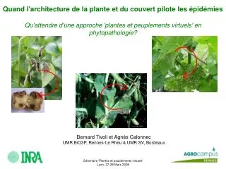 Quand l'architecture de la plante et du couvert pilote les épidémies Qu'attendre d'une approche 'plantes et peuplements
