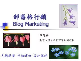 部落格行銷 Blog Marketing