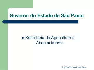 governo do estado de s o paulo