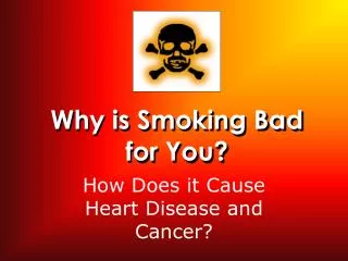 Why is Smoking Bad for You?