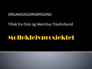 organisasjonsbygging tiltak fra oslo og akershus travforbund