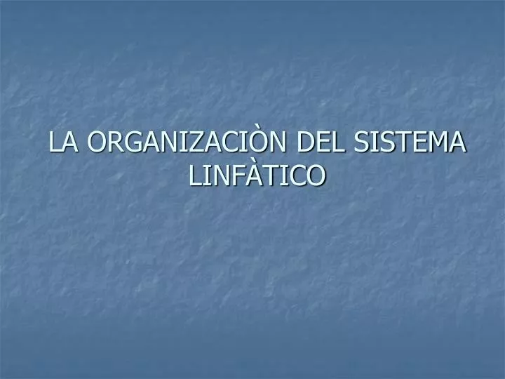 la organizaci n del sistema linf tico