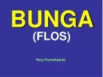BUNGA - slide 1