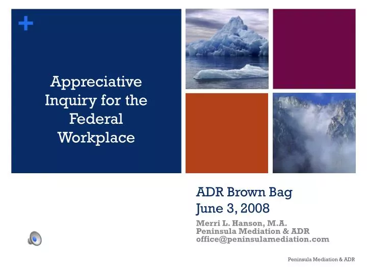 adr brown bag june 3 2008