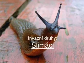 Invazní druhy: Slimáci