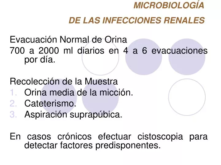 microbiolog a de las infecciones renales