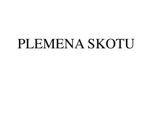 plemena skotu