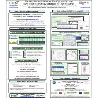 The Plant Metabolic Network: PlantCyc, AraCyc, and NEW Metabolic Pathway Databases for Plant Research