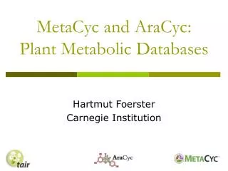 MetaCyc and AraCyc: Plant Metabolic Databases