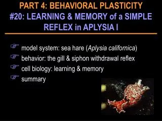 PART 4: BEHAVIORAL PLASTICITY #20: LEARNING &amp; MEMORY of a SIMPLE REFLEX in APLYSIA I