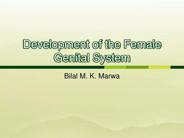 development of the female genital system