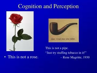 Cognition and Perception