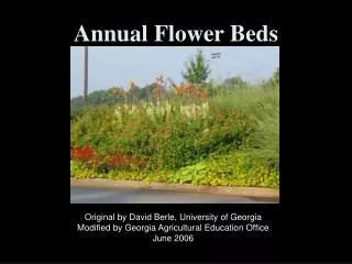Annual Flower Beds