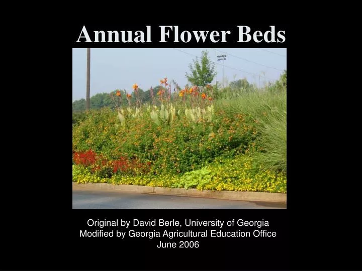 annual flower beds