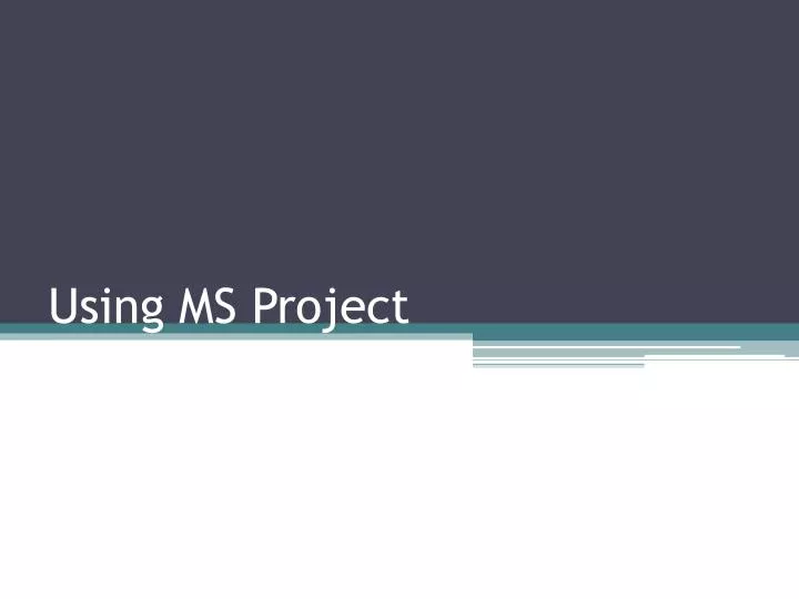 using ms project