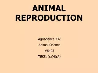 ANIMAL REPRODUCTION