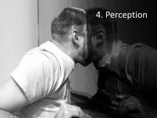 4. Perception