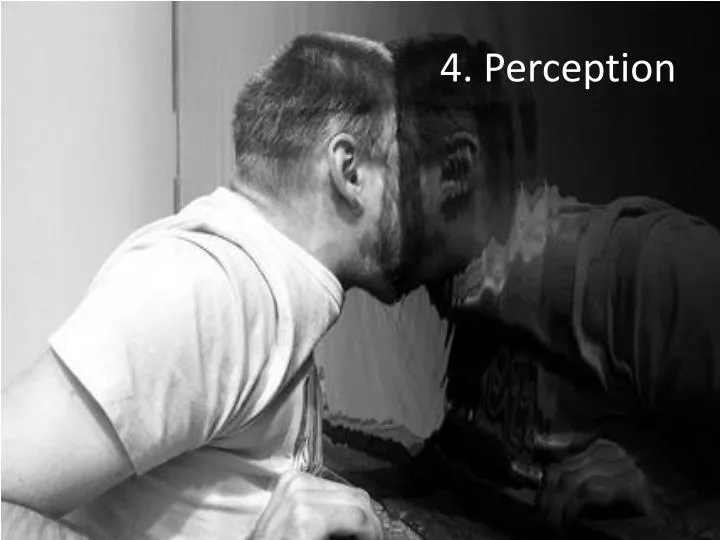 4 perception