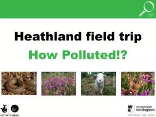 Heathland field trip How Polluted!?