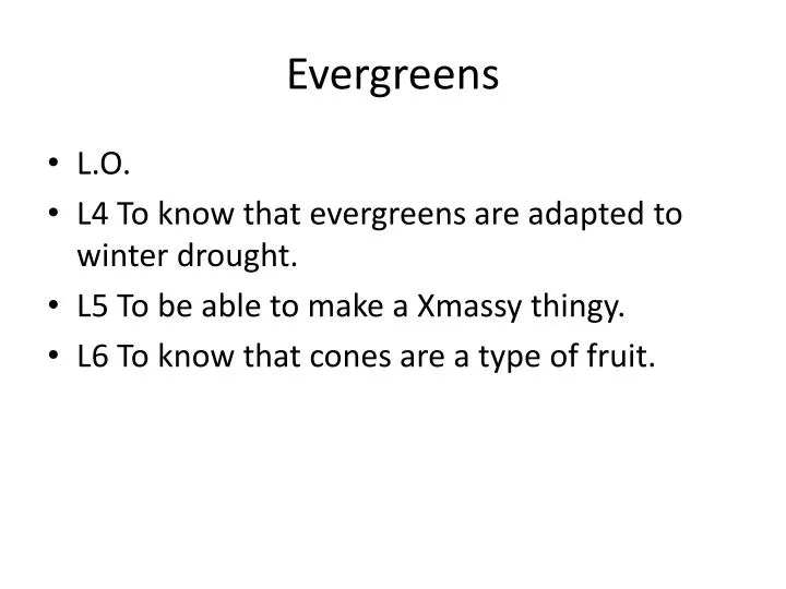 evergreens