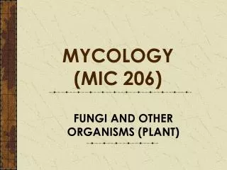 FUNGI AND OTHER ORGANISMS (PLANT)