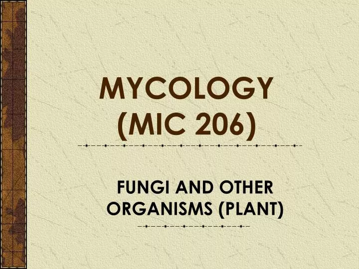 fungi and other organisms plant