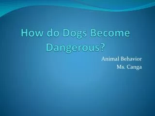 How do Dogs Become Dangerous?