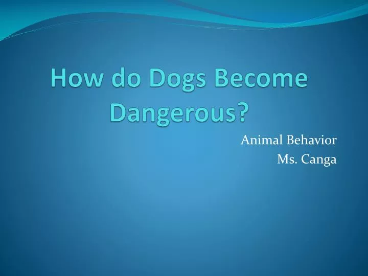 how do dogs become dangerous