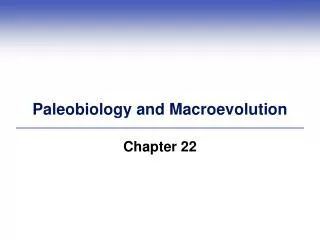 Paleobiology and Macroevolution