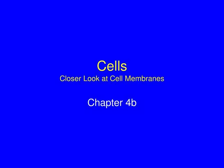 cells closer look at cell membranes
